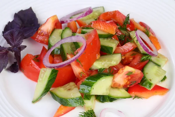 Bitkilerle Taze Sebze Salatası — Stok fotoğraf