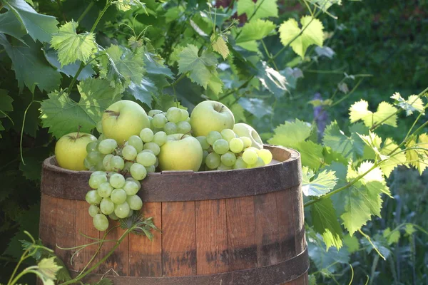 Druiven Appels Een Houten Wijnvat Een Wijngaard — Stockfoto