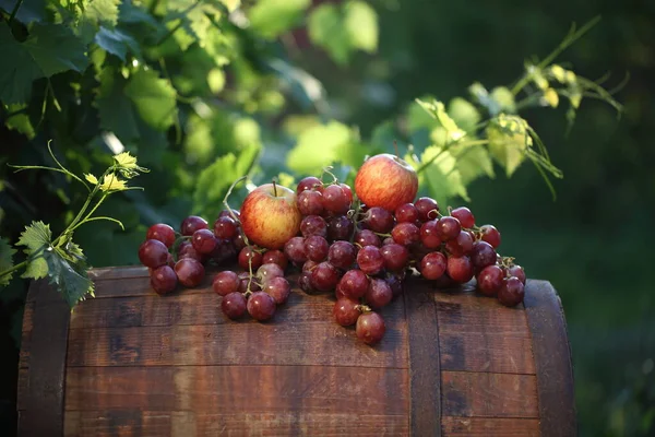 Martwa Natura Winogronami Jabłkami Beczce Winnicy — Zdjęcie stockowe