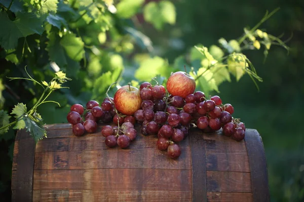 Röda Och Vita Druvor Med Äpplen Fat Vingård — Stockfoto
