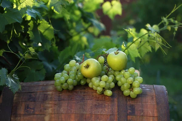 Martwa Natura Winogronami Jabłkami Beczce Winnicy — Zdjęcie stockowe