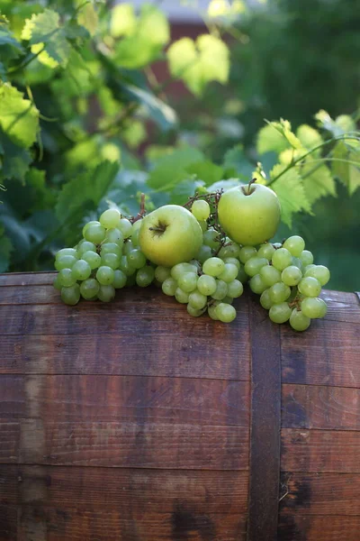 Martwa Natura Winogronami Jabłkami Beczce Winnicy — Zdjęcie stockowe