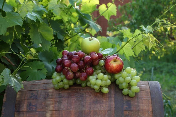 Winogrona Jabłka Drewnianej Beczce Wina Winnicy — Zdjęcie stockowe