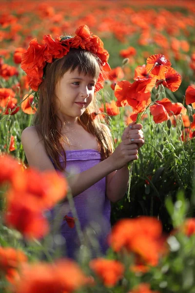 Kleines Mädchen Auf Einem Feld Mit Mohn — Stockfoto