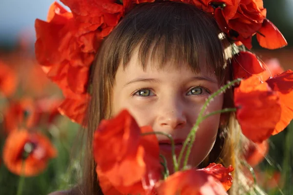 Маленькая Девочка Поле Маком — стоковое фото