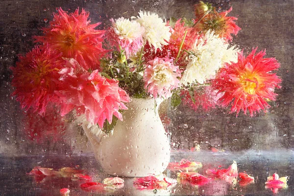 Bouquet of dahlias in a white jug — Stock Photo, Image