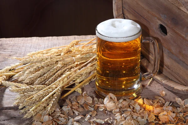 Bier met schuim in een transparante mok, een houten kont en kegels — Stockfoto