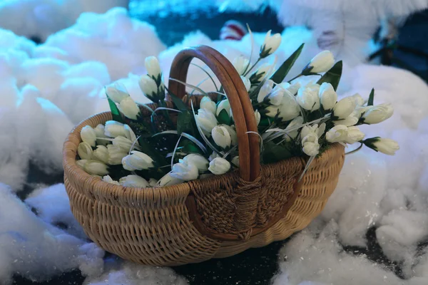 Bouquet de tulipes blanches dans un panier ondulé sur neige — Photo