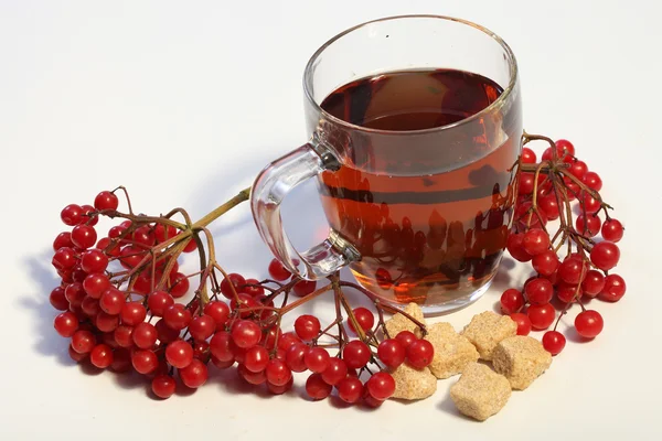 Té de frutas con una rosa guelder y azúcar — Foto de Stock