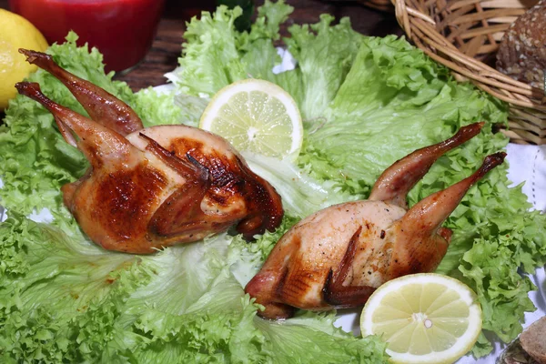 A chanté soumis avec de la sauce aux myrtilles et des feuilles de salade fraîche — Photo