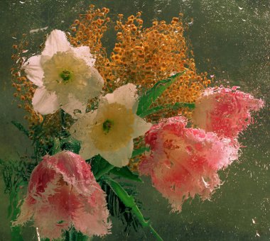 Bahar buket narcissuses, Lale ve Mimoza glas arkasında