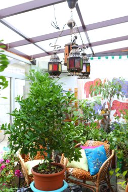 Bir kış bahçesinde dekoratif küçük lambalar avize