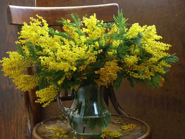 Stillleben mit einem Mimosen-Strauß — Stockfoto