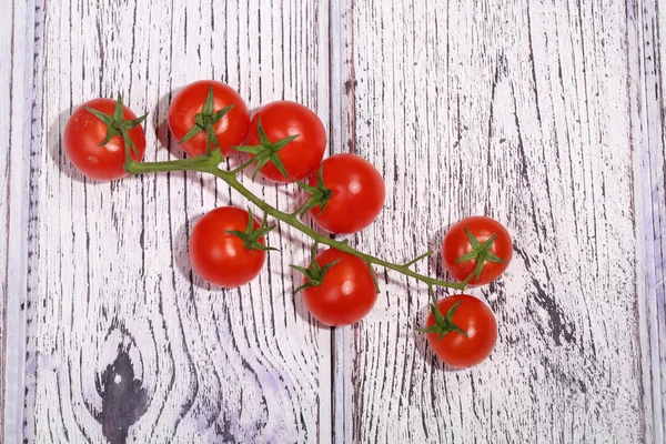 Red tomatoes on a branch - cherry tomatoes — Stock Photo, Image