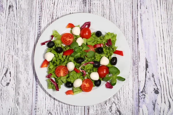 Salada com tomate, mussarela, azeitonas, repolho e rúcula — Fotografia de Stock