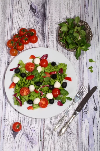 Salada com tomate, mussarela, azeitonas, repolho e rúcula e — Fotografia de Stock