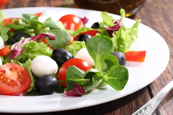 Salada com uma mussarela, tomates, azeitonas, salada — Fotografia de Stock