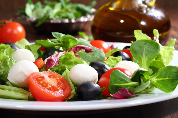 Salada com uma mussarela, tomates, azeitonas, salada — Fotografia de Stock