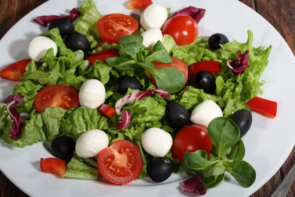 Salada com uma mussarela, tomates, azeitonas, salada — Fotografia de Stock