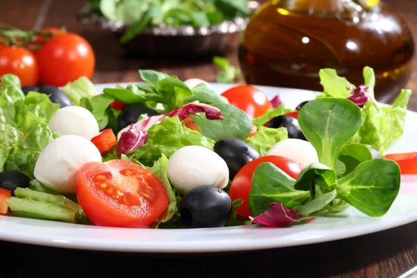 Salada com uma mussarela, tomates, azeitonas, salada — Fotografia de Stock