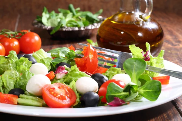 A mozzarella, paradicsom, olívabogyó, saláta saláta — Stock Fotó