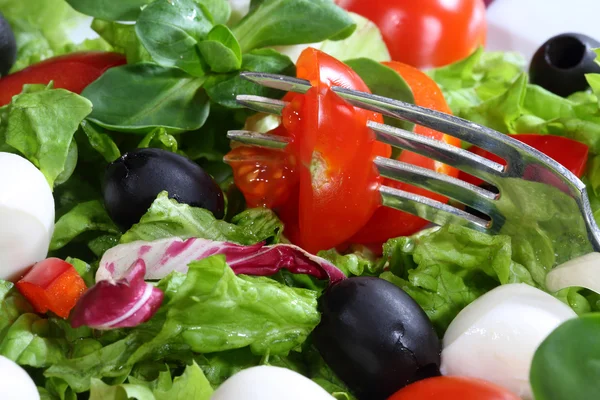 Tomate fixado em uma tomada em salada de uma mussarela, tomates, ol — Fotografia de Stock