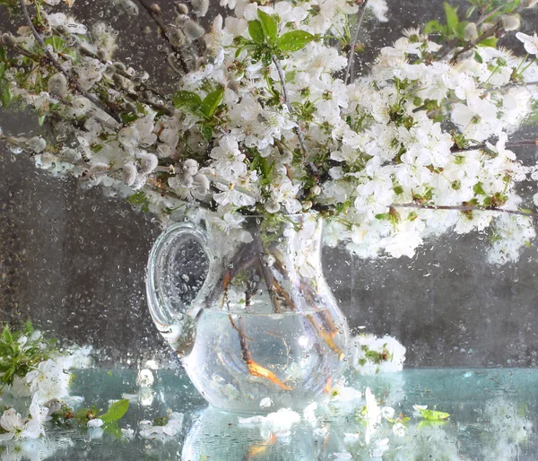 Bouquet from blossoming branches in a transparent jug — Stock Photo, Image