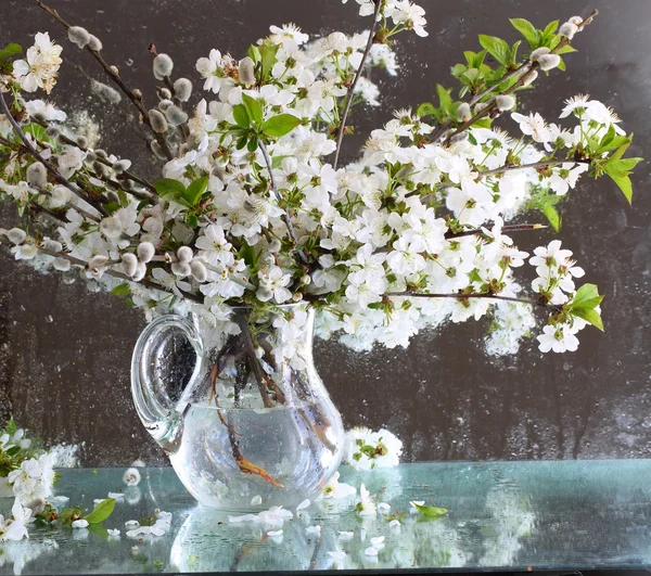 透明な水差しの開花枝から花束 — ストック写真