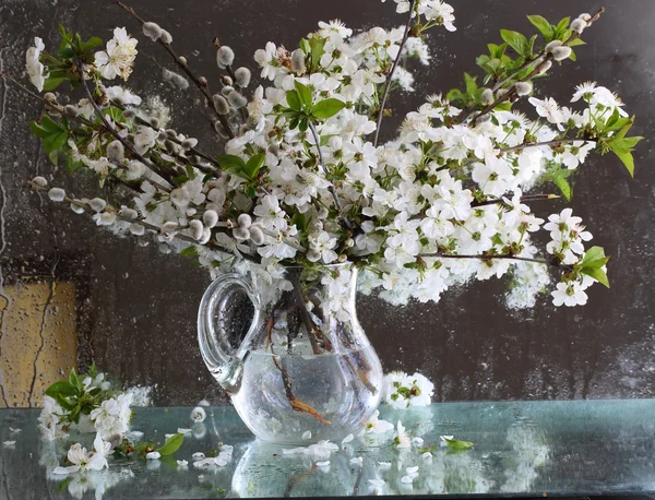 Bouquet from blossoming branches in a transparent jug — Stock Photo, Image