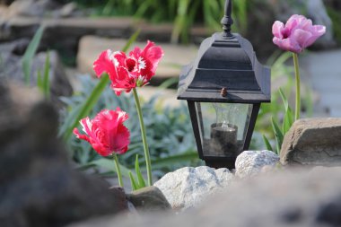 Dekoratif sokak fener ve parlak laleler