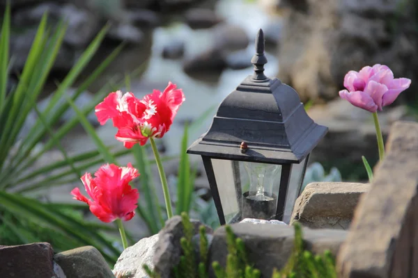 Dekorative Straßenlaterne und leuchtende Tulpen — Stockfoto