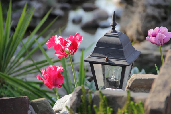 Dekorative Straßenlaterne und leuchtende Tulpen — Stockfoto