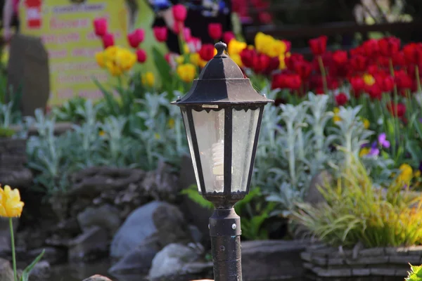 Lanterne de rue décorative et tulipes lumineuses sur un lit — Photo