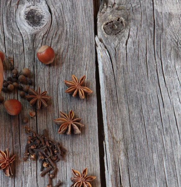 Wood nut, cinnamon sticks, a carnation and anise asterisks on a — Stock Photo, Image