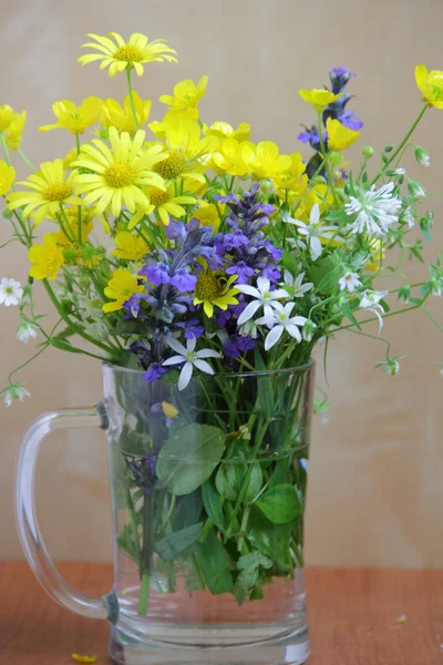 Strauß Frühlingswildblumen in einem durchsichtigen Becher — Stockfoto