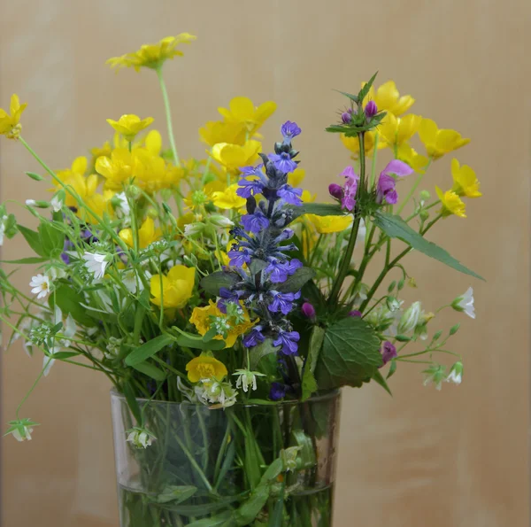 Bukett av vårens vilda blommor i en transparent mugg — Stockfoto