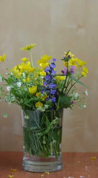 Аромат весенних диких цветов в прозрачной кружке — стоковое фото