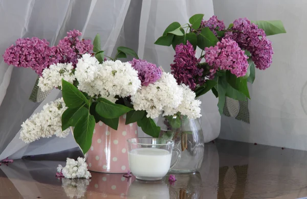 Bouquet de lilas dans une cruche transparente et une tasse de lait — Photo