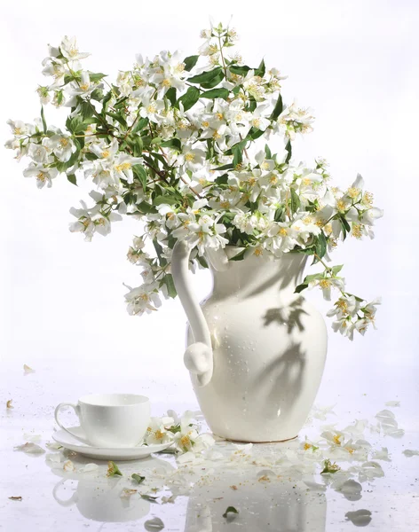 Ramo de jazmín y taza de té sobre fondo blanco — Foto de Stock