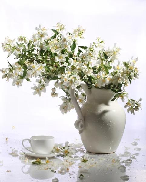 Cup of tea and jasmin bouquet in a ceramic vase on a white backg — Stock Photo, Image