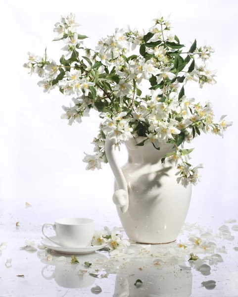 Bouquet of a jasmin and tea cup on a white background — Stock Photo, Image