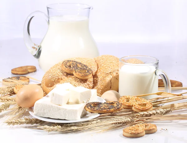 Still-life with milk in a transparent jug, a roll and a brynza — Stock Photo, Image