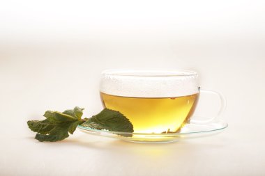 Beyaz zemin üzerine saydam bir fincan nane ile yeşil çay