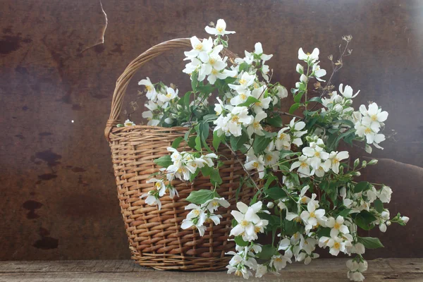 Cesta arrugada con un ramo de jazmín perfumado — Foto de Stock