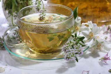 Tıbbi otlar ve nane bir whit üzerinde şeffaf bir fincan çaydan
