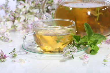  Güzel kokulu otlar ve şeffaf bir fincan nane çayı