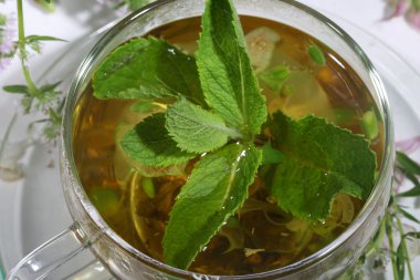  Medicative otlar ve nane bir transparen içinde toplama çaydan