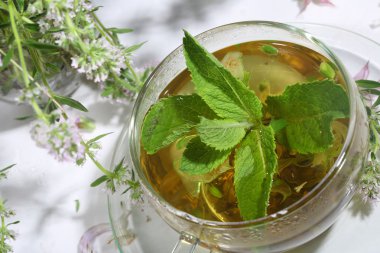  Medicative otlar ve nane bir transparen içinde toplama çaydan