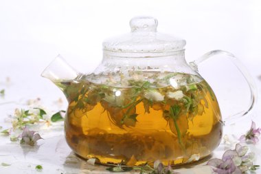  Çay otlar ve şeffaf bir çaydanlık nane