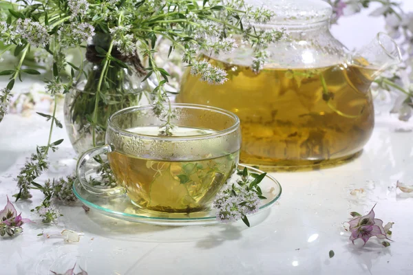 Medical tea with fragrant grasses in a transparent cup